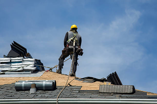 Professional Gutter Installation technician working in Sargent, GA
